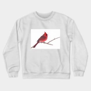 Northern Cardinal Crewneck Sweatshirt